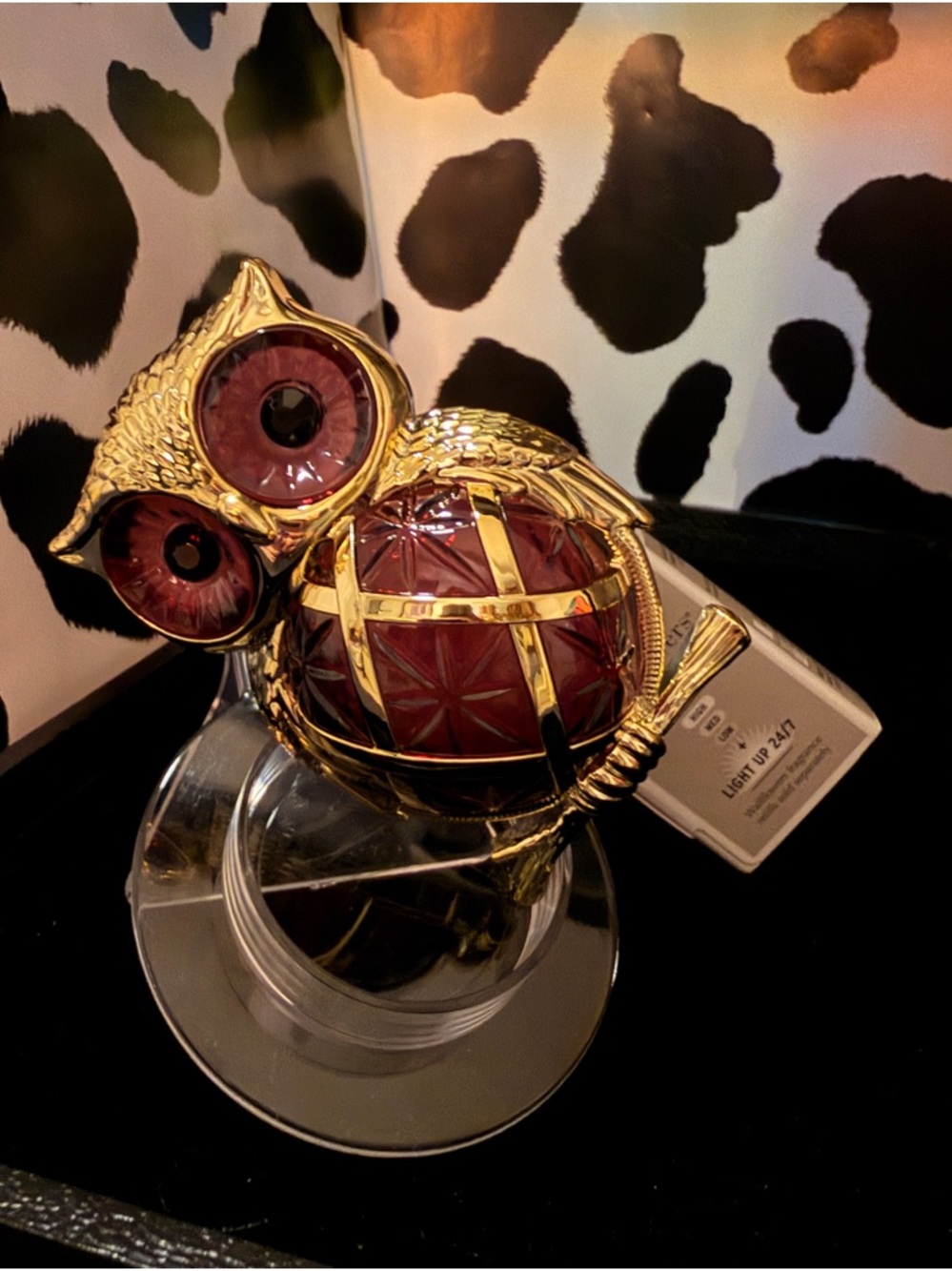 White Barn Gold and Red Owl Wallflowers Plug